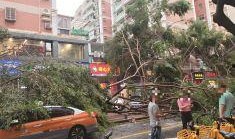 厦门特区新闻广场爆料,重大事件引发社会关注